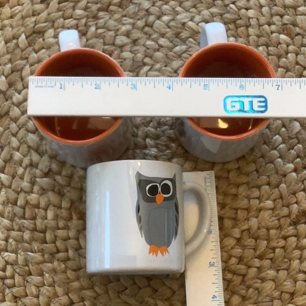 Crate & Barrel Owl Coffee Mug Cup Three Piece Matching Set 8 Ounces * Dual sided
